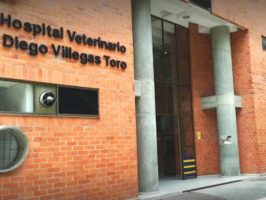 Hospital Veterinario Diego Villegas Toro reabre sus puertas