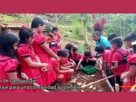 proyecto de compostaje con indigenas